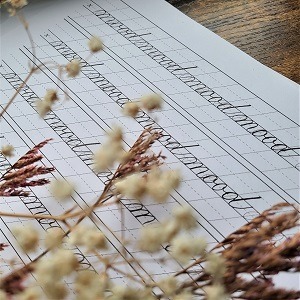 Copperplate calligraphy script on a lined practice sheet with dried florals