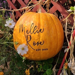 "Mellie Rose Est. 2022" written in modern calligraphy on a pumpkin