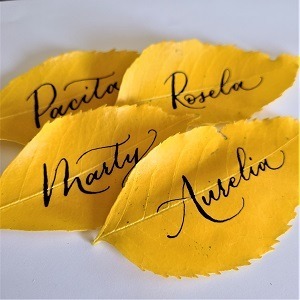 Names in calligraphy written on autumn leaves