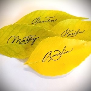 The following four names written on yellow, autumn leaves in Spencerian script: Aurelia, Marty, Rosela, Pacita