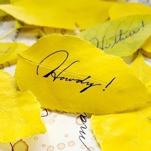 "Howdy" written in Spencerian script on a yellow, autumn leaf