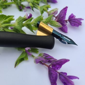 Calligraphy pen sitting on wild sage